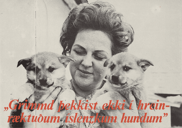 Sigríður Pétursdóttir á Ólafsvöllum