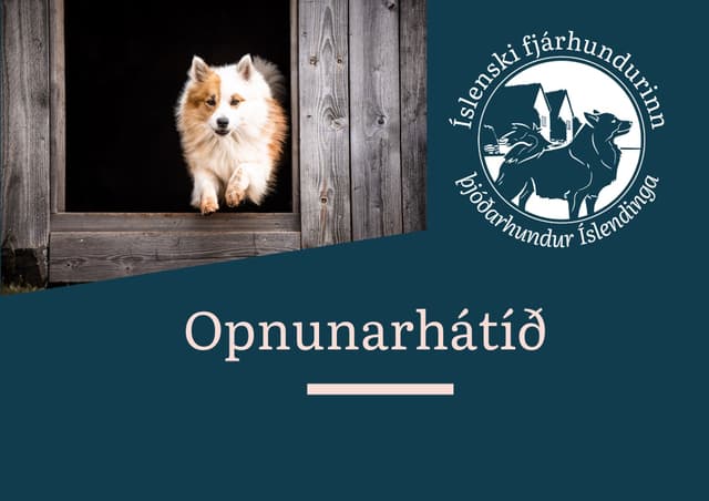 Opnunarhátíð Söguseturs Íslenska fjárhundsins