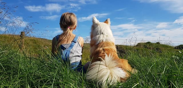 Tímamót í hundahald á Íslandi