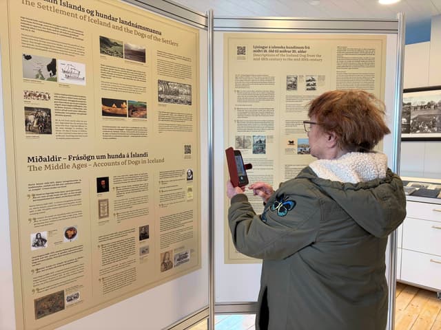 Sögusetrið og fleiri fréttir